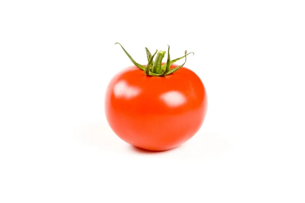 stock image Tomato