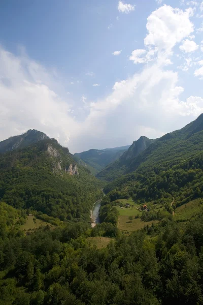 黑山。塔拉河峡谷 — 图库照片
