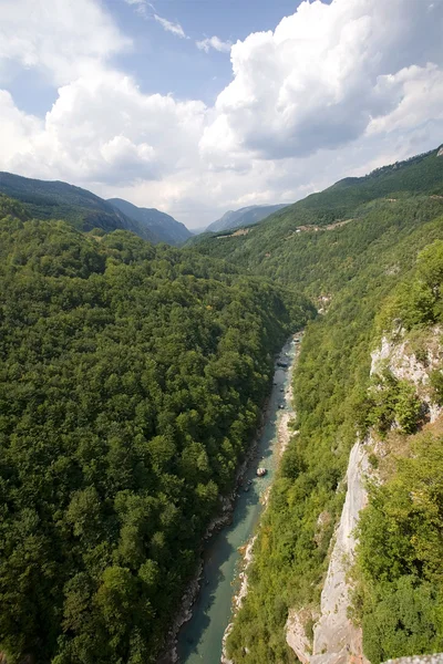Montenegro. Tara river canyon — Stockfoto