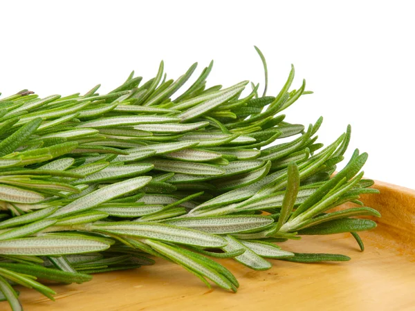 stock image Rosemary herb