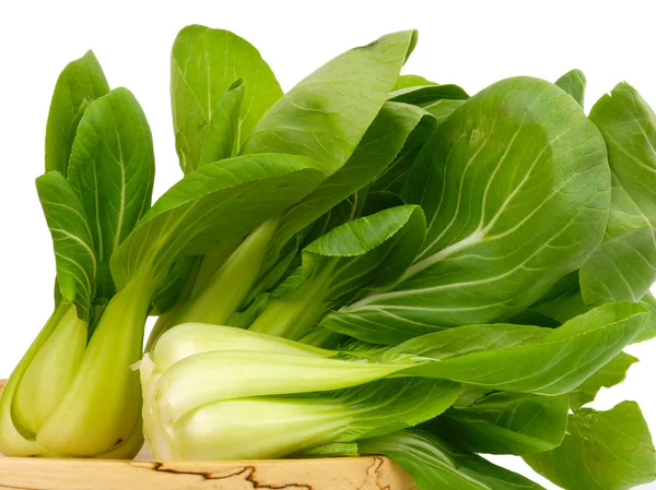 Spinach cabbage — Stock Photo, Image