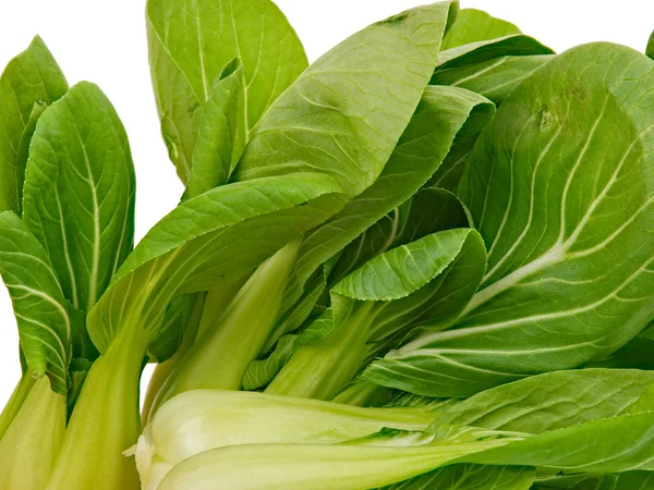 Spinach cabbage — Stock Photo, Image