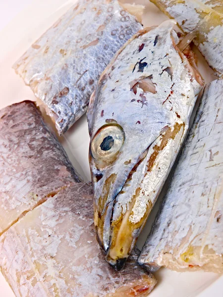 Färska conger fisk — Stockfoto