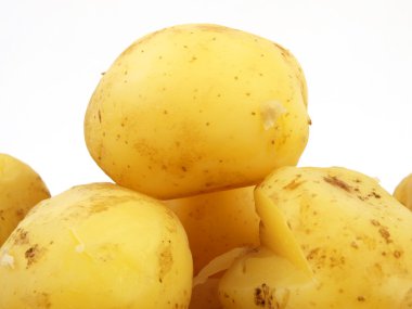 taze patates