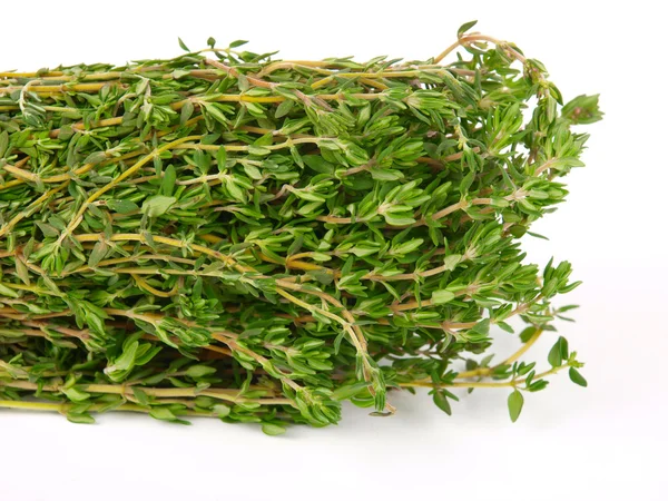 stock image Garden thyme