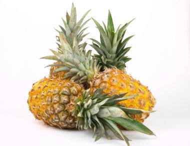 taze ananas