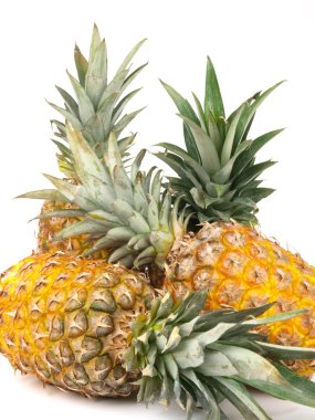 taze ananas