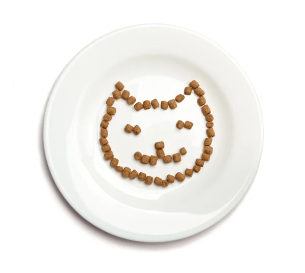 Aliments secs pour chats — Photo