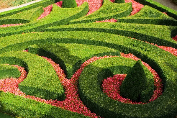 stock image European garden maze