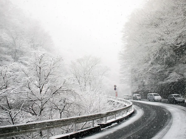 stock image Road in snow
