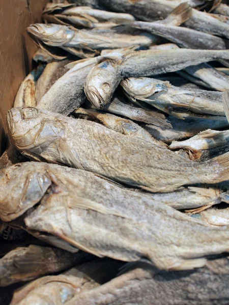 Sušené na slunci a solené ryby — Stock fotografie