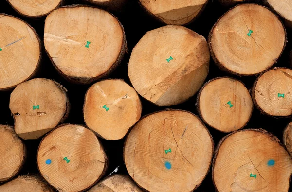 stock image Stack of logs