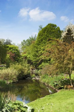 hyde park Londra'nın heron ile Bahçe