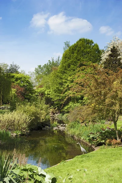 Garden with Heron in Hyde Park London — Stock Photo, Image