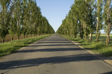 perspektif için boş yol
