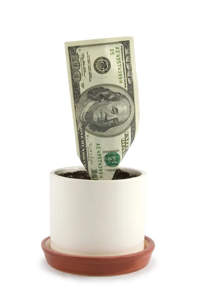 US money growing in a pot isolated — Stock Photo, Image