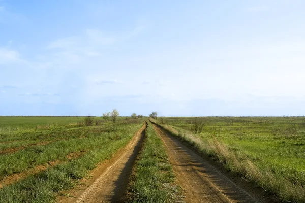 Desert road to horizon — Stock Photo, Image