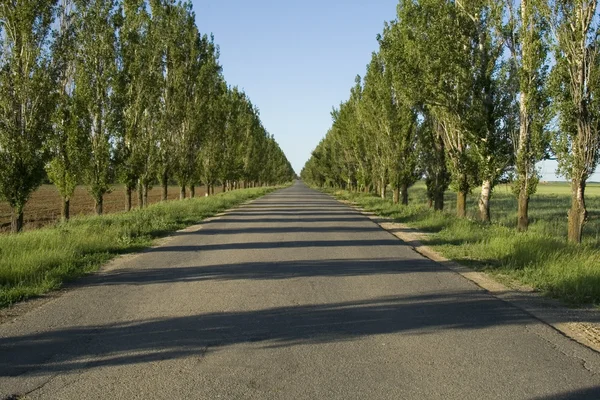 Empty road to perspective — Stock Photo, Image