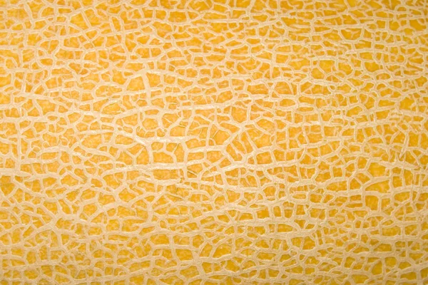 Orange cantaloupe melon huden — Stockfoto
