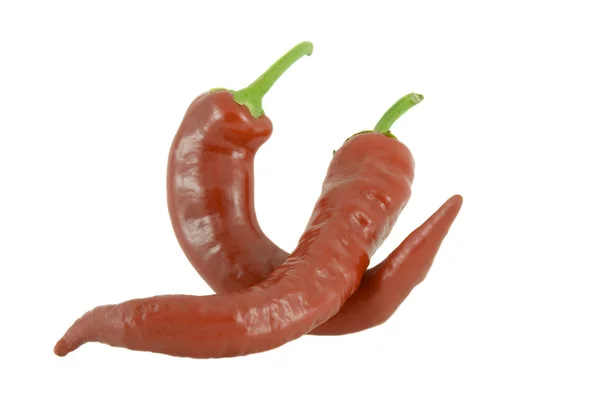 Dvě červené pálivé chilli papričky — Stock fotografie