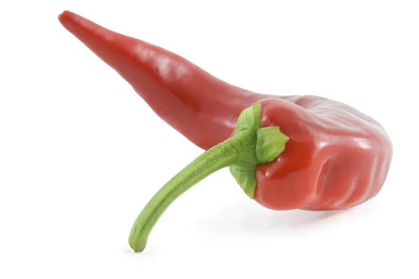 Punainen kuuma chili pippuri yli valkoinen — kuvapankkivalokuva