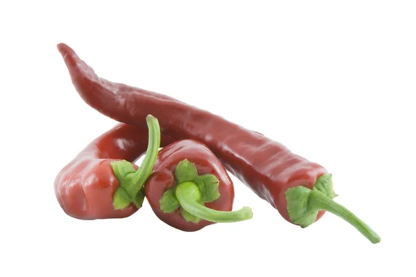 Three red hot chili peppers — Stock Photo, Image