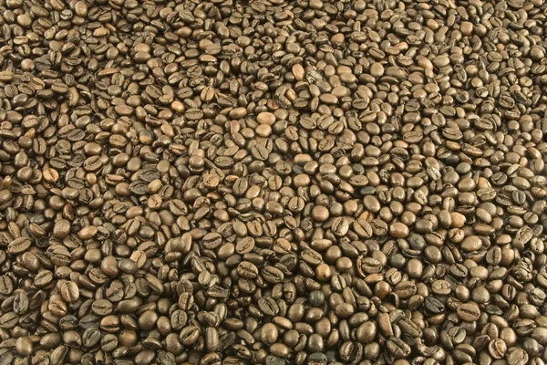 Feijão de café para fundo — Fotografia de Stock