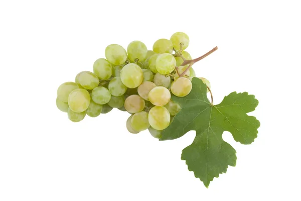 Close-up de um monte de uvas — Fotografia de Stock
