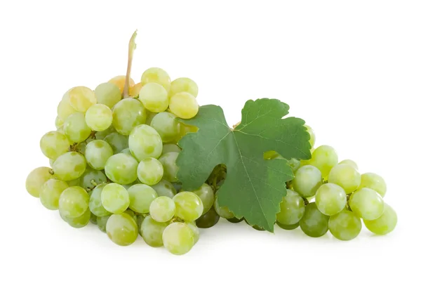 Uvas isoladas sobre branco — Fotografia de Stock
