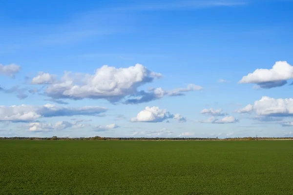 Luční tráva, modrá obloha a cloud — Stock fotografie