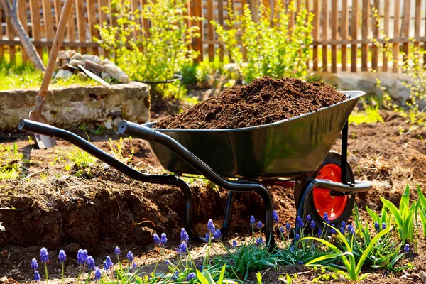 Wheelbarrow in a garden — Stock Photo, Image