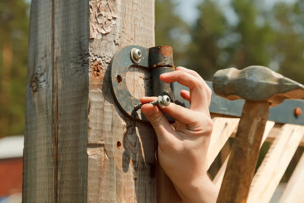 stock image A nail is hammered into a wood