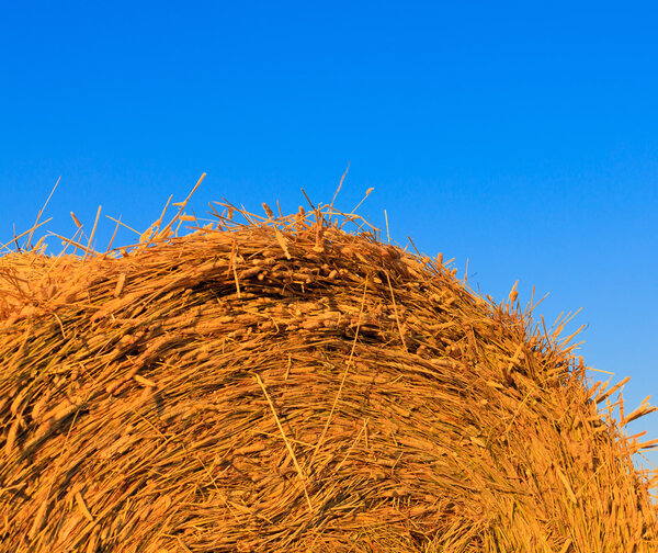 Над ярко-голубым небом
