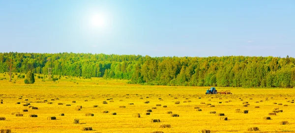 Agriculture tractor in yellow field — Stock Photo, Image