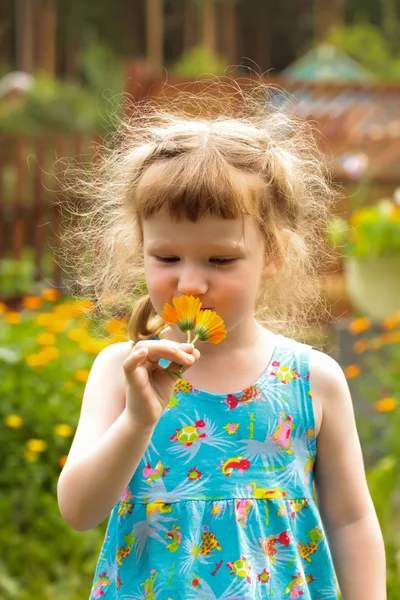 Sevimli küçük kız onun elinde çiçeklerle — Stok fotoğraf