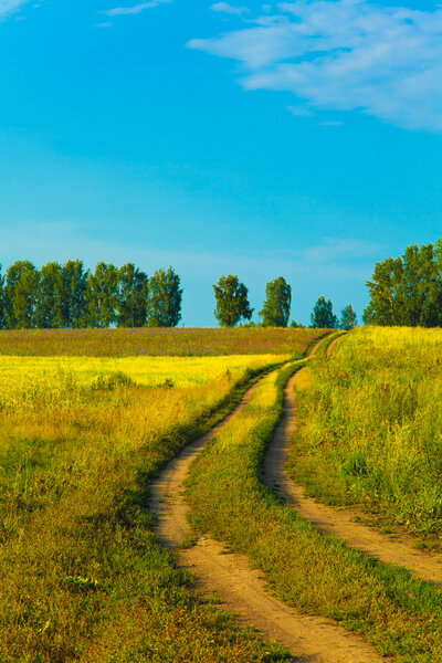 Lane in meadow and deep blue sky with white clouds