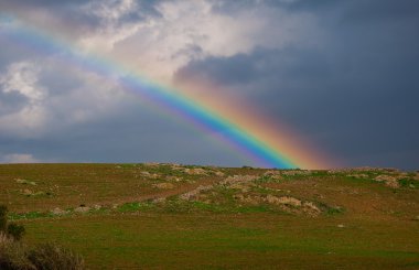 Rainbow over the green meadow clipart