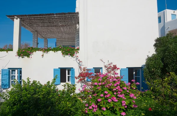 Maison blanche-bleue entourée de fleurs — Photo