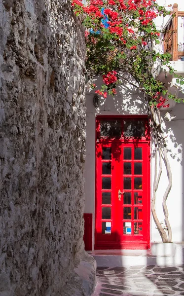 Czerwony drzwi w otoczeniu kwiatów — Zdjęcie stockowe
