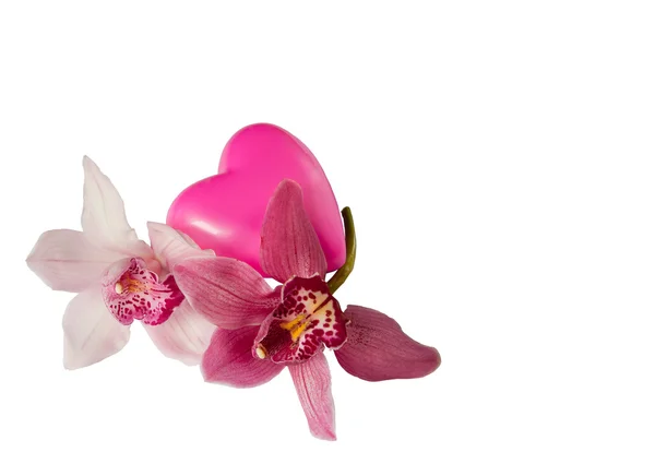 Λευκό και ροζ ορχιδέες, πλαίσιο-καρδιά — Φωτογραφία Αρχείου