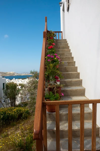 Merdiven çiçekli tencere — Stok fotoğraf