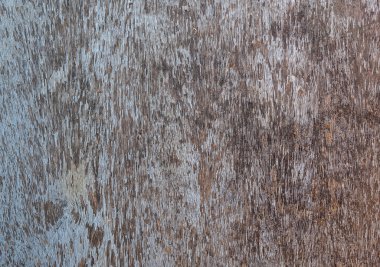 Wooden, old painted surface clipart