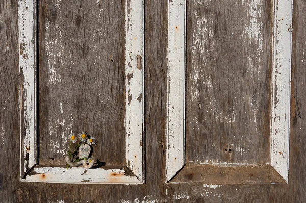 Puerta de madera vieja con margaritas — Foto de Stock