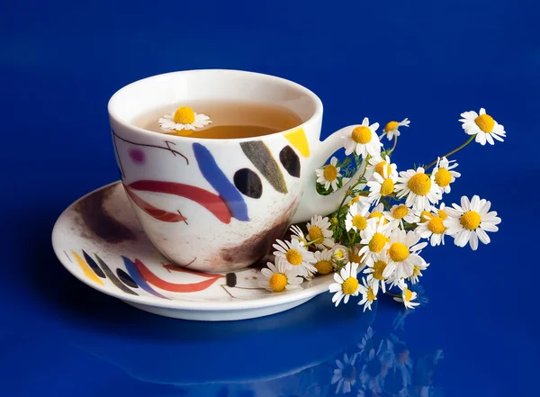 Camomile tea and daisies on blue — Stock Photo, Image