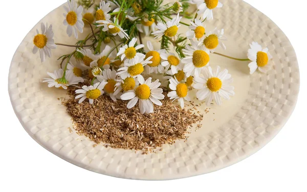 Plate with daisies and dry tea — Stock Photo, Image