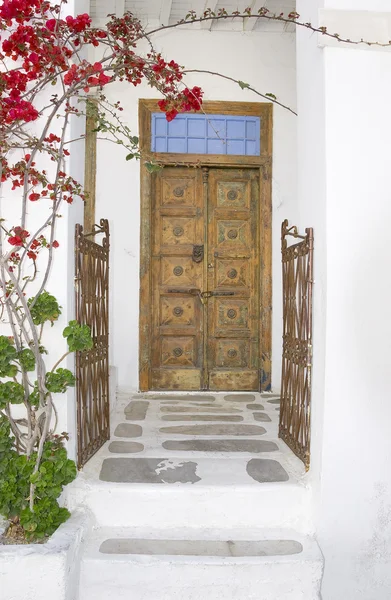 Eski kapılar ve kapı çiçekli — Stok fotoğraf