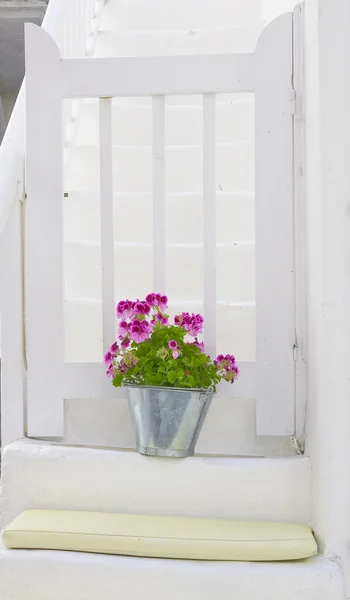 Pot of flowers on a white staircase — Stock Photo, Image