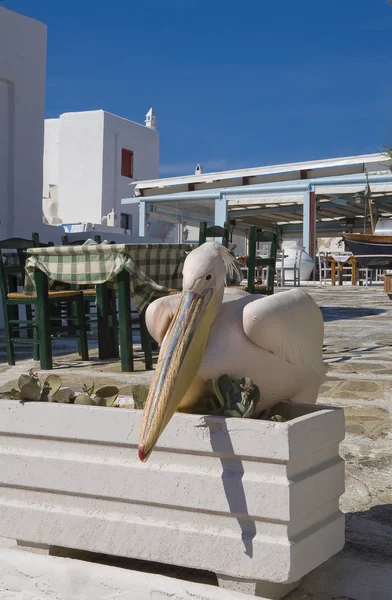 Stock image Pelican sitting around the table