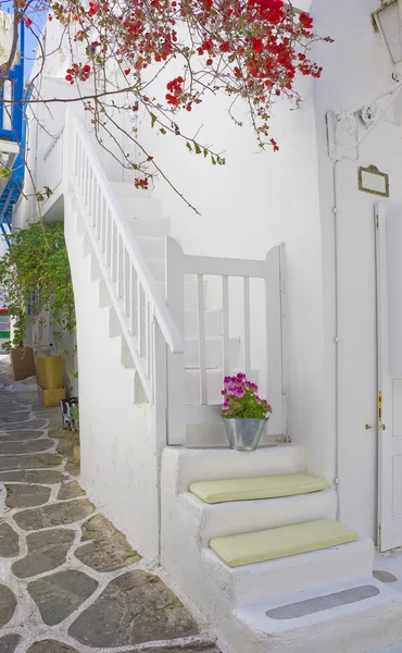 Escalier blanc et fleurs — Photo