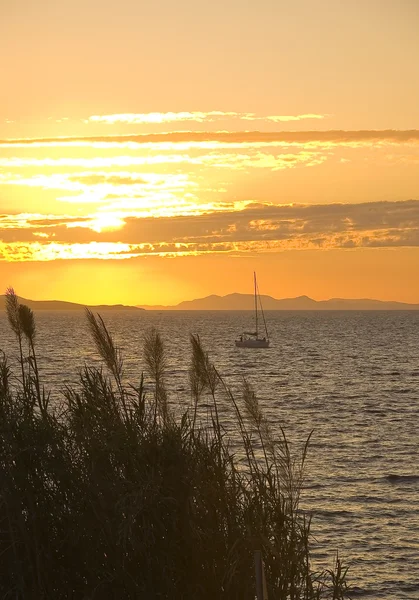 Corre contra o pôr-do-sol laranja no mar — Fotografia de Stock